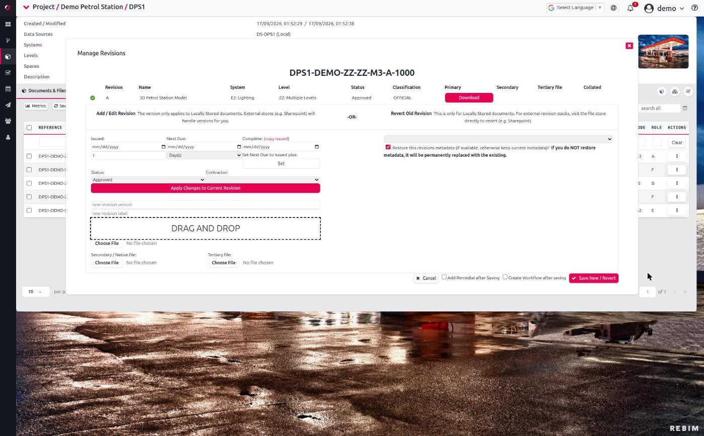 The Manage Revisions form — the revision list (with Primary / Secondary / Tertiary file / Collated columns), the add/edit-revision fields, and the post-save tick-boxes.